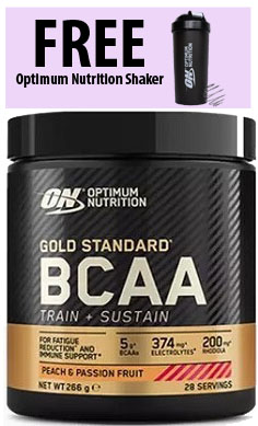 Optimum Nutrition Gold-Standard BCAA Train Sustain free shaker