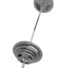 barbell set hammertone
