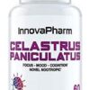InnovaPharm-Celastrus-Paniculatus