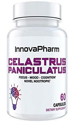 InnovaPharm-Celastrus-Paniculatus