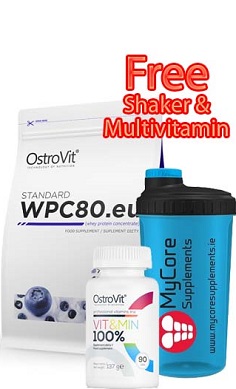 OstroVit-whey-protein-offer 2 web