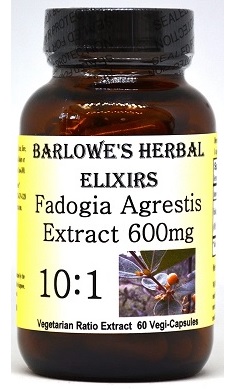 Barlowe's Herbal Elixirs Fadogia Agrestis