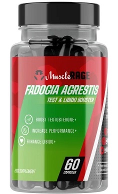 muscle rage fadogia agrestis